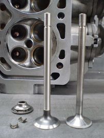 Asli Mesin Diesel Kustom Valve DI 4Cr10Mo &amp; EX21-4N Bahan Dipoles Pengobatan