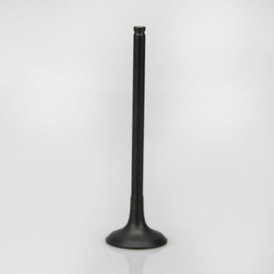 4G32 4G33 L300 Intake &amp; Exhaust Valve Untuk Suku Cadang Jepang MD-000480 MD-000431